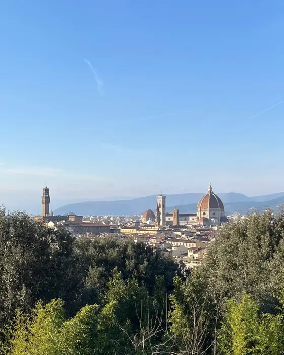 Florence with the Duomo and Palazzo Vecchio, seen from the green hills above the city